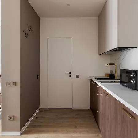 Apartment біля опери